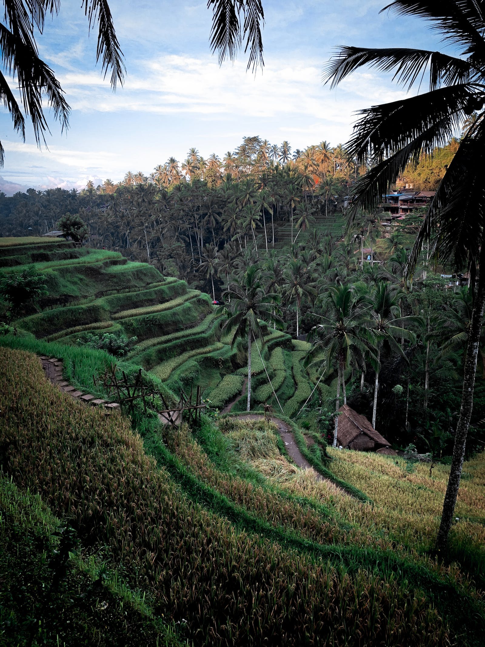 payage bali