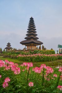 fleurs à Bali symbolique temple balinais frangipanier
